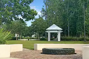 230 Bird Song Path, Summerville, SC 29485 - Photo 80