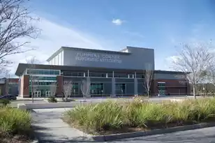 230 Bird Song Path, Summerville, SC 29485 - Photo 88