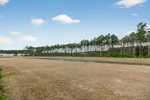 237 Cypress Preserve Blvd, Moncks Corner, SC 29461 - Photo 32