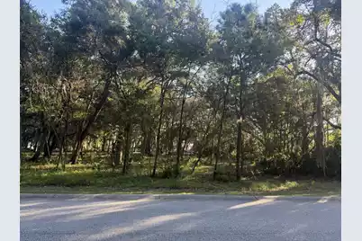 404 Tanner Trail, Charleston, SC 29412 - Photo 2