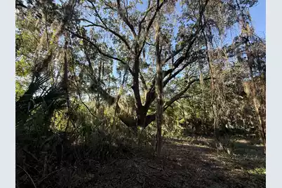 404 Tanner Trail, Charleston, SC 29412 - Photo 8