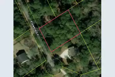 890 Flowers Lane, Edisto Island, SC 29438 - Photo 4