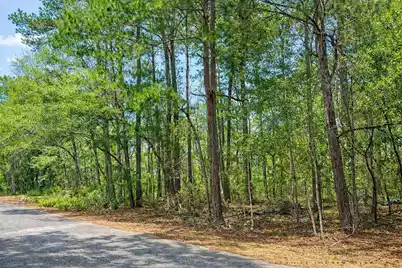 890 Flowers Lane, Edisto Island, SC 29438 - Photo 2