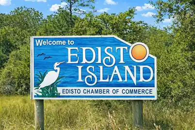 890 Flowers Lane, Edisto Island, SC 29438 - Photo 6