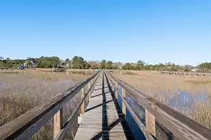 3480 Henrietta Hartford Rd, Mount Pleasant, SC 29466 - Photo 100