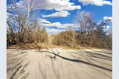 475 Coleman Avenue, Orangeburg, SC 29115 - Photo 4