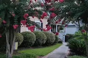 4791 Stono Links Dr, Hollywood, SC 29449 - Photo 54