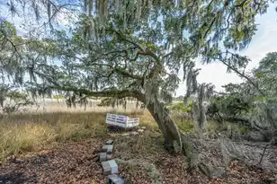 5315 Frisco Ln, Johns Island, SC 29455 - Photo 74