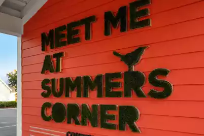 232 Summers Drive, Summerville, SC 29485 - Photo 58