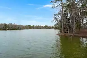 1111 Fitzgerald Ct, Summerville, SC 29485 - Photo 50