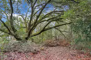 429 Sandhill Rd, Dorchester, SC 29437 - Photo 4