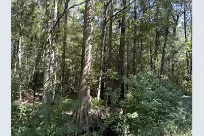 0 Big Bird Lane, Summerville, SC 29483 - Photo 14