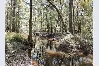 0 Big Bird Lane, Summerville, SC 29483 - Photo 1