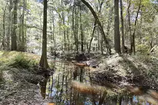 0 Big Bird Ln, Summerville, SC 29483 - Photo 1