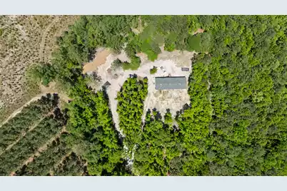 371 Rhode Drive, Cottageville, SC 29435 - Photo 8