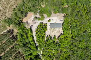371 Rhode Dr, Cottageville, SC 29435 - Photo 8