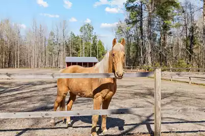 371 Rhode Drive, Cottageville, SC 29435 - Photo 8