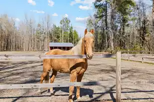 371 Rhode Dr, Cottageville, SC 29435 - Photo 8