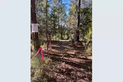 Drf 1 Dawkins Road #Drf 1, Pacolet, SC 29372 - Photo 10