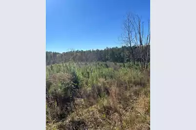 Drf 2 Dawkins Road #Drf 2, Pacolet, SC 29372 - Photo 8