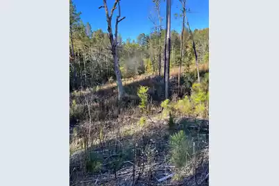 Drf 3 Dawkins Road #Drf 3, Pacolet, SC 29372 - Photo 12