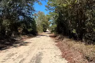 Bhl 7 Boise Cascade #Bhl 7, Bethune, SC 29009 - Photo 1