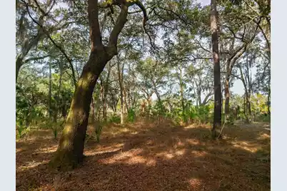 8462 Saint Pierre Creek Drive, Edisto Island, SC 29438 - Photo 16