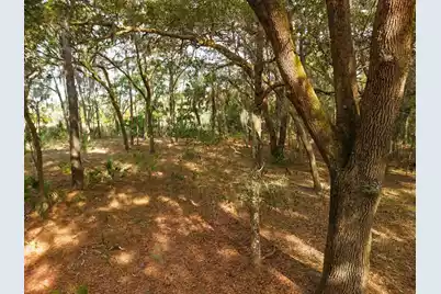 8462 Saint Pierre Creek Drive, Edisto Island, SC 29438 - Photo 22