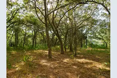 8462 Saint Pierre Creek Drive, Edisto Island, SC 29438 - Photo 14