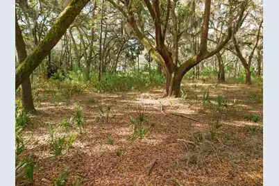 8462 Saint Pierre Creek Drive, Edisto Island, SC 29438 - Photo 24