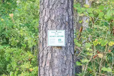 9416 Sweep Drive, Summerville, SC 29485 - Photo 30