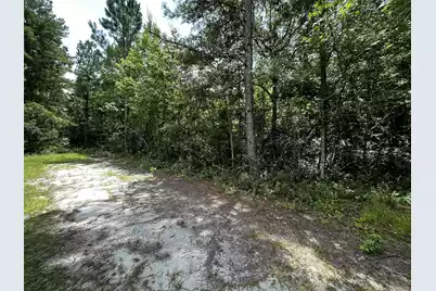 0 Austin Drive, Walterboro, SC 29488 - Photo 2