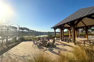 3873 Summerton St, Mount Pleasant, SC 29466 - Photo 68