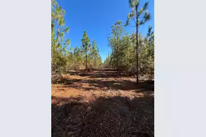 Ppf 12 Payne Pond Road #Ppf 12, Westville, SC 29175 - Photo 46