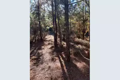 Ppf 12 Payne Pond Road #Ppf 12, Westville, SC 29175 - Photo 44