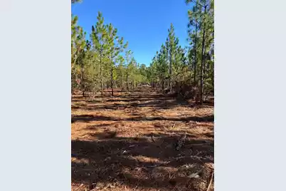 Ppf 12 Payne Pond Road #Ppf 12, Westville, SC 29175 - Photo 50