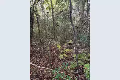 Ppf 12 Payne Pond Road #Ppf 12, Westville, SC 29175 - Photo 16