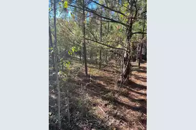 Ppf 12 Payne Pond Road #Ppf 12, Westville, SC 29175 - Photo 34