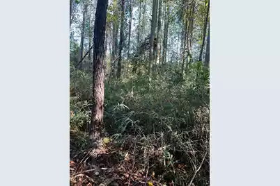 Ppf 12 Payne Pond Road #Ppf 12, Westville, SC 29175 - Photo 12