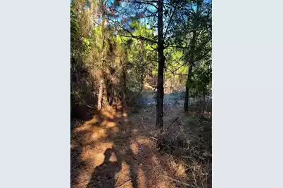 Ppf 12 Payne Pond Road #Ppf 12, Westville, SC 29175 - Photo 42