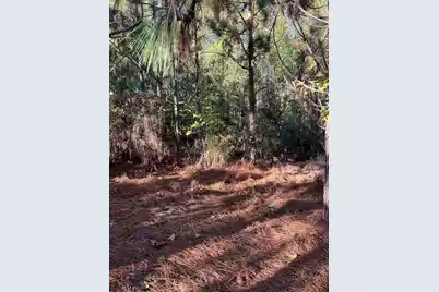 Ppf 12 Payne Pond Road #Ppf 12, Westville, SC 29175 - Photo 18