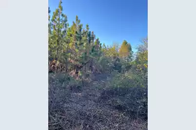 Ppf 12 Payne Pond Road #Ppf 12, Westville, SC 29175 - Photo 2