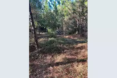 Ppf 12 Payne Pond Road #Ppf 12, Westville, SC 29175 - Photo 38