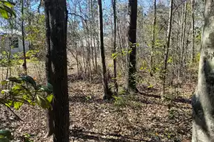 125 Knight Ave, Summerville, SC 29483 - Photo 10