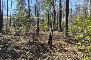 125 Knight Ave, Summerville, SC 29483 - Photo 8