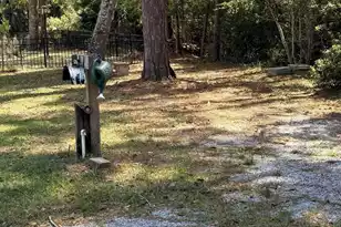 8970 Palmetto Rd, Edisto Island, SC 29438 - Photo 36