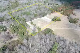 02 Pompey Rd, Manning, SC 29102 - Photo 4