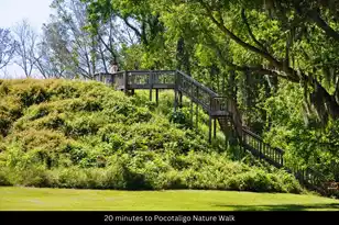 05 Pompey Rd, Manning, SC 29102 - Photo 22