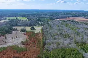 05 Pompey Rd, Manning, SC 29102 - Photo 10