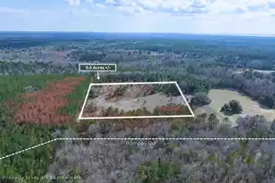 05 Pompey Rd, Manning, SC 29102 - Photo 1